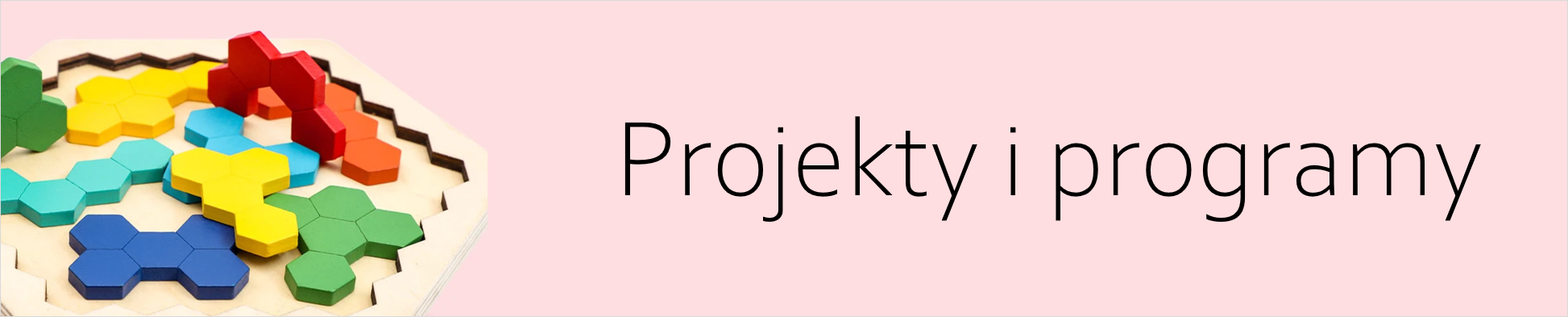 obraz zawiera napis projekty i programy