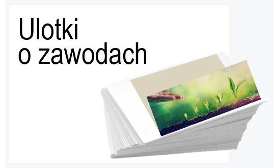 grafika zawiera tekst Ulotki o zawodach